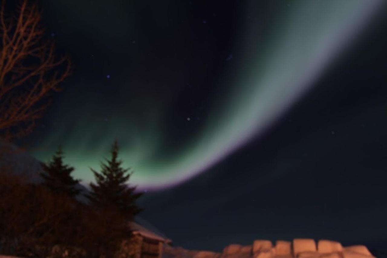 Gemlufall Guesthouse Thingeyri Экстерьер фото